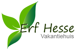  Logo ommenvakantiehuis.nl